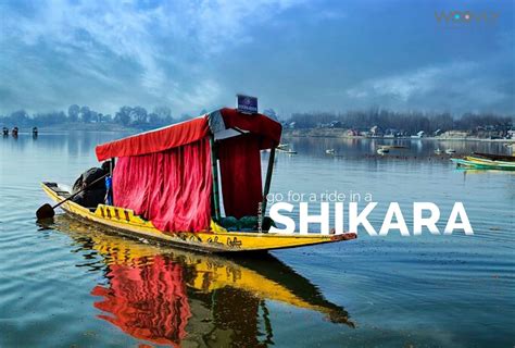 shikara kissanime|Shikara .
